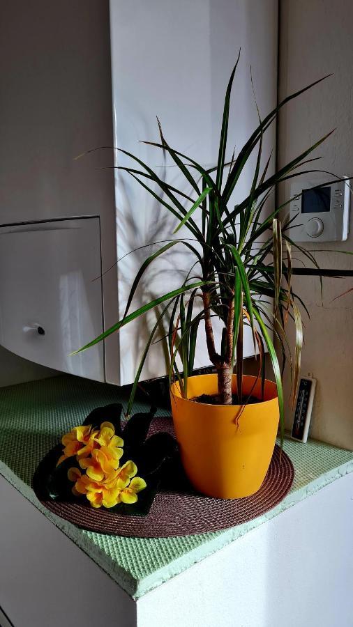 Apartement *Harzblick* Nordhausen Ngoại thất bức ảnh